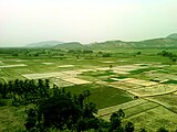 Sankaram