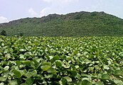 Visakhapatnam