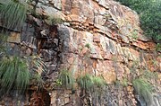 Detrital rocks of Tirumala Hills