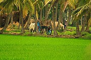 Konaseema