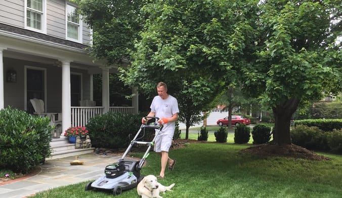 Man pushing lawn mower next to dog on green grass.