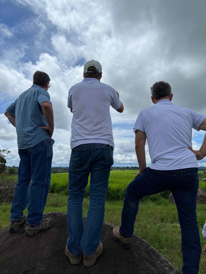 Three men in short-sleeved shirts and jeans stand with their backs to the camera looking out over verdant pastureland