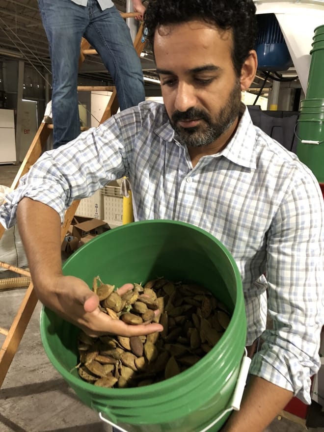 A man with dark hair and a beard holds a bucket of brown seed pods