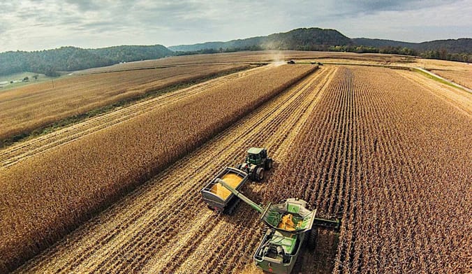 A tractor harvests grain in a field