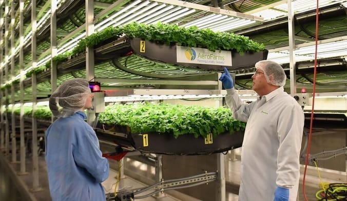 Two employees in lab coats, gloves and hair nets stand next to stacked containers full of small green baby plants