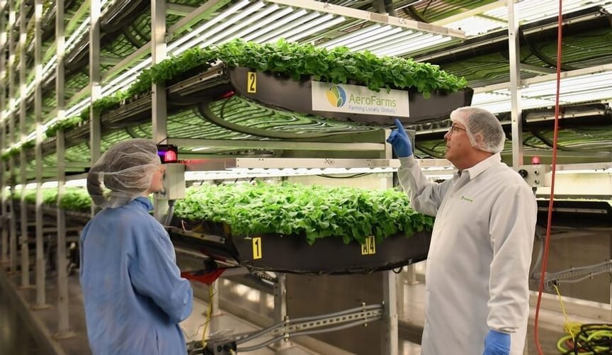 Two employees in lab coats, gloves and hair nets stand next to stacked containers full of small green baby plants