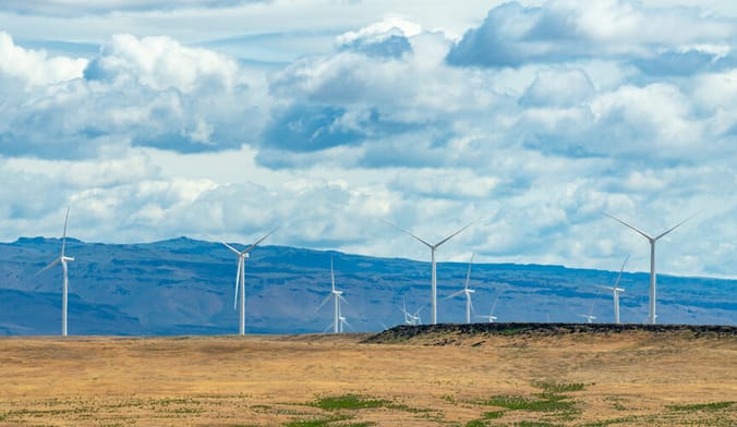 A group of several dozen white wind turbines installed on a golden plain in front of a mountain range