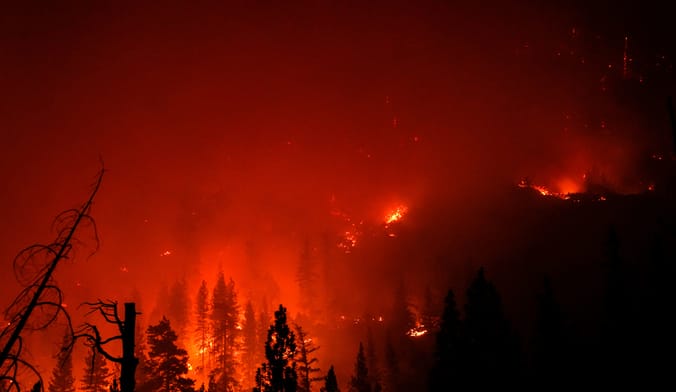A forest fire