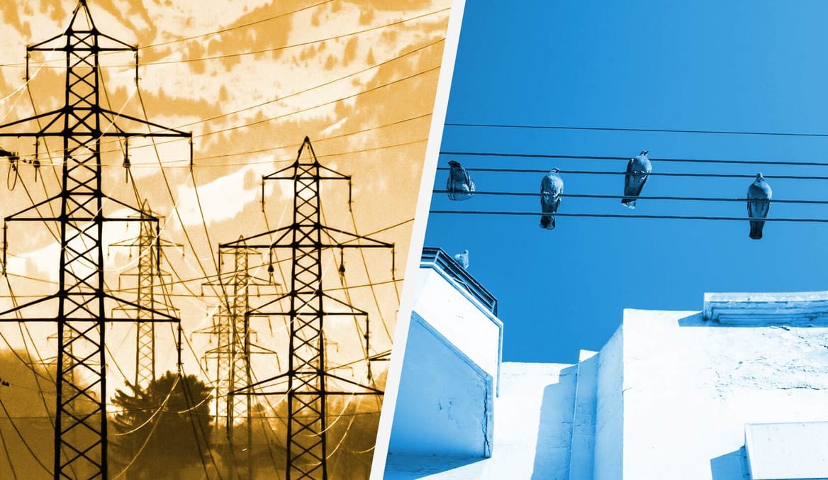 A split graphic showing transmission lines and birds on a distribution line.