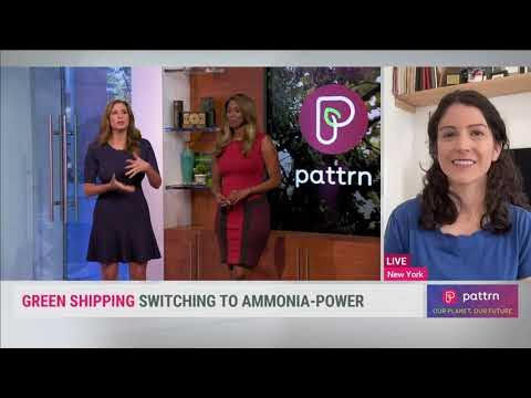Canary Media's Maria Gallucci talks green ammonia and shipping on The Weather Channel