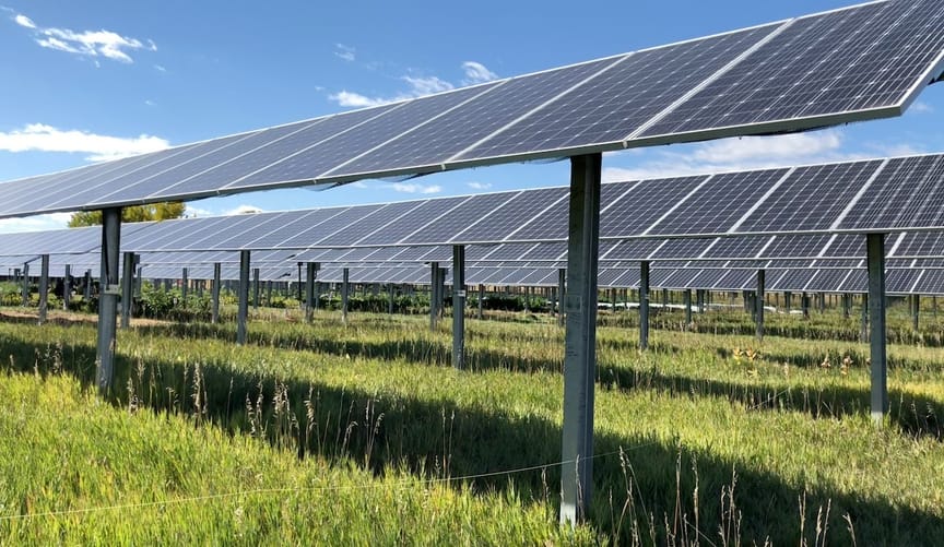 Rows of solar panels stand in grass at a community solar garden.