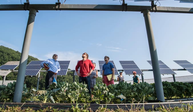 People looking up at solar panels