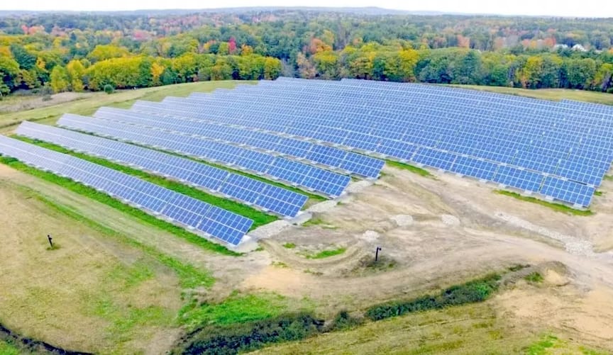 solar panels over small patch of land surrounded by trees