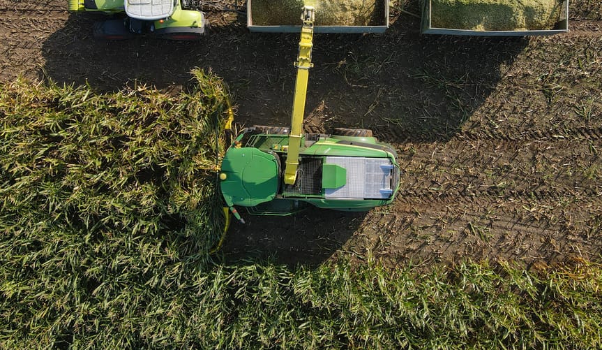 A tractor in a field harvests corn and transports it to a trailer