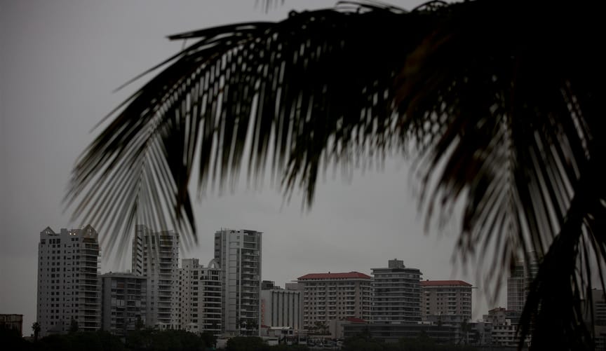 A gloomy portrait of hotels during a blackout with a tropical leaf frond in the foreground