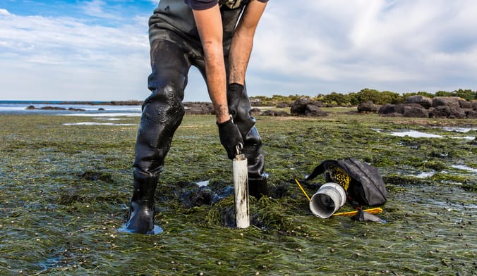 A worker in wader plunges a white cylindrical scientific instrument into marshy land