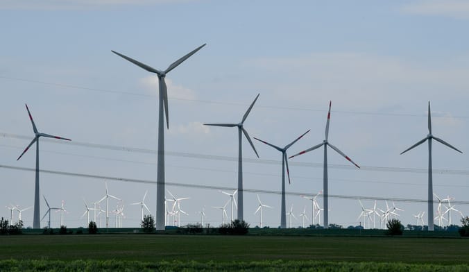 Rows of wind turbines surround transmission lines
