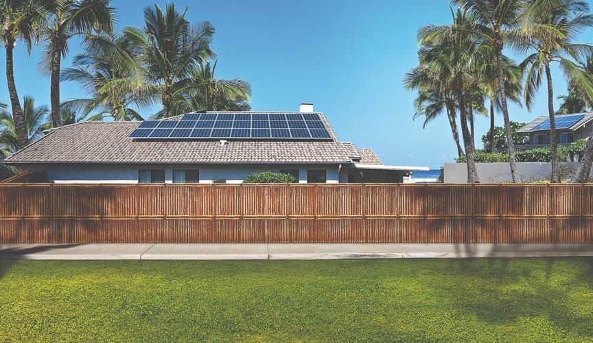 A beachfront home with solar panels on the roof surrounded by palm trees